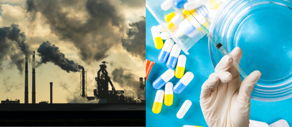 Returning to Nature: The Quiet Wisdom Beneath the Noise and the Smog