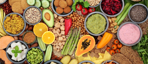 The Living Intelligence of Diet