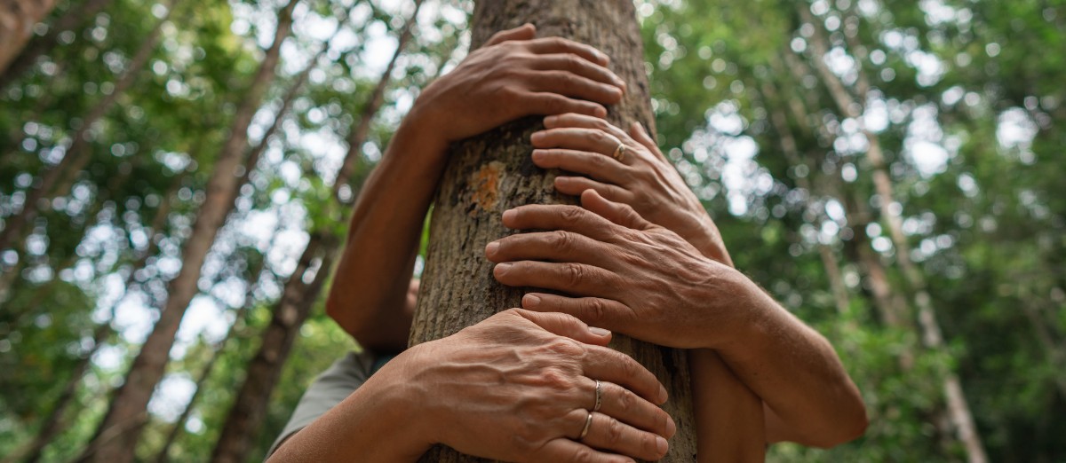 Stability and Leaning into Our Strengths