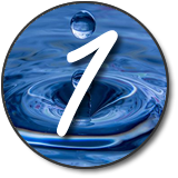 9 Star Ki Astrology Free Personal Chart Calculator Relationships Yearly and Monthly Predictions Water