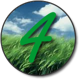 9 Star Ki Astrology Free Personal Chart Calculator Relationships Yearly and Monthly Predictions Wind